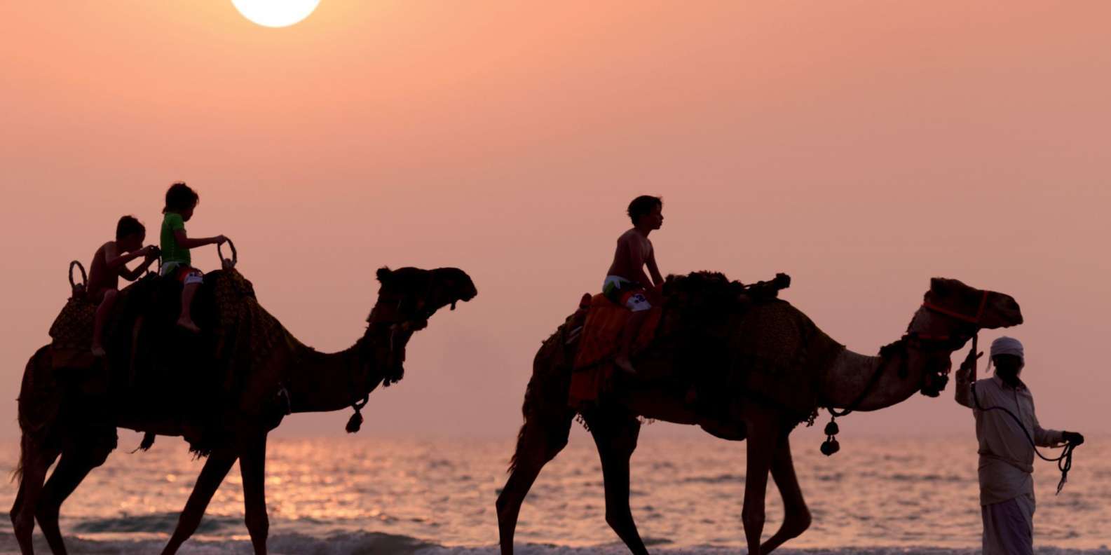 Camel Ride In Agadir - Agadir Activities