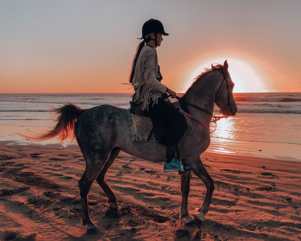 Horse Riding in Agadir