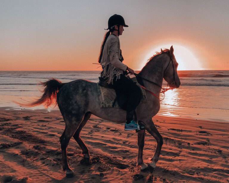 Agadir Horse Riding