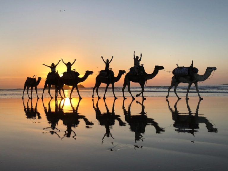 Barbecue Camel Ride in Agadir