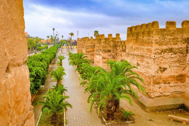 Taroudant and Tiout Day Trip