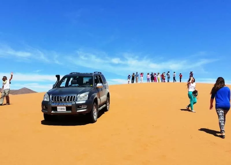 Full-Day Desert Safari with Lunch and Camel Ride